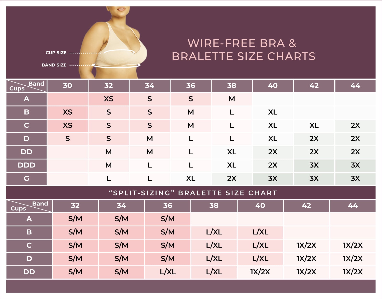 Bra Size Chart Measurement Guide
